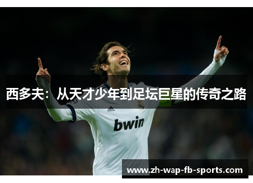 西多夫:从天才少年到足坛巨星的传奇之路 西多夫:从天才少年到足坛巨星的传奇之路