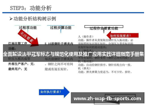 全面解读法甲冠军标志与规范化使用及推广应用实践详细指南手册集