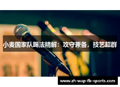 小麦国家队踢法精解：攻守兼备，技艺超群
