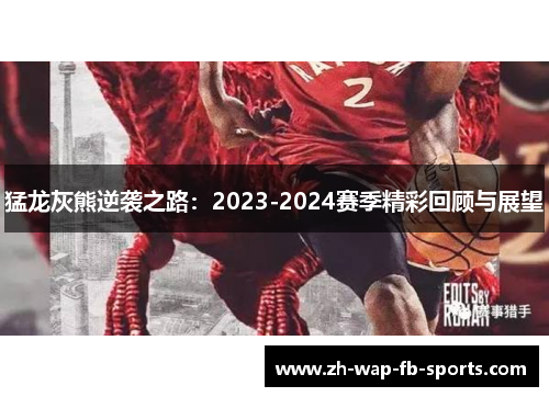 猛龙灰熊逆袭之路：2023-2024赛季精彩回顾与展望