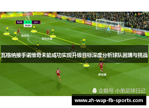 瓦格纳接手诺维奇未能成功实现升级目标深度分析球队困境与挑战 瓦格纳接手诺维奇未能成功实现升级目标深度分析球队困境与挑战